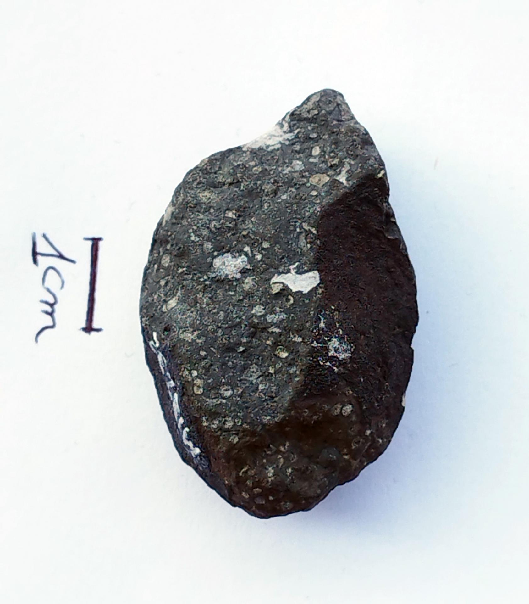 Allende CV3 carbonnée