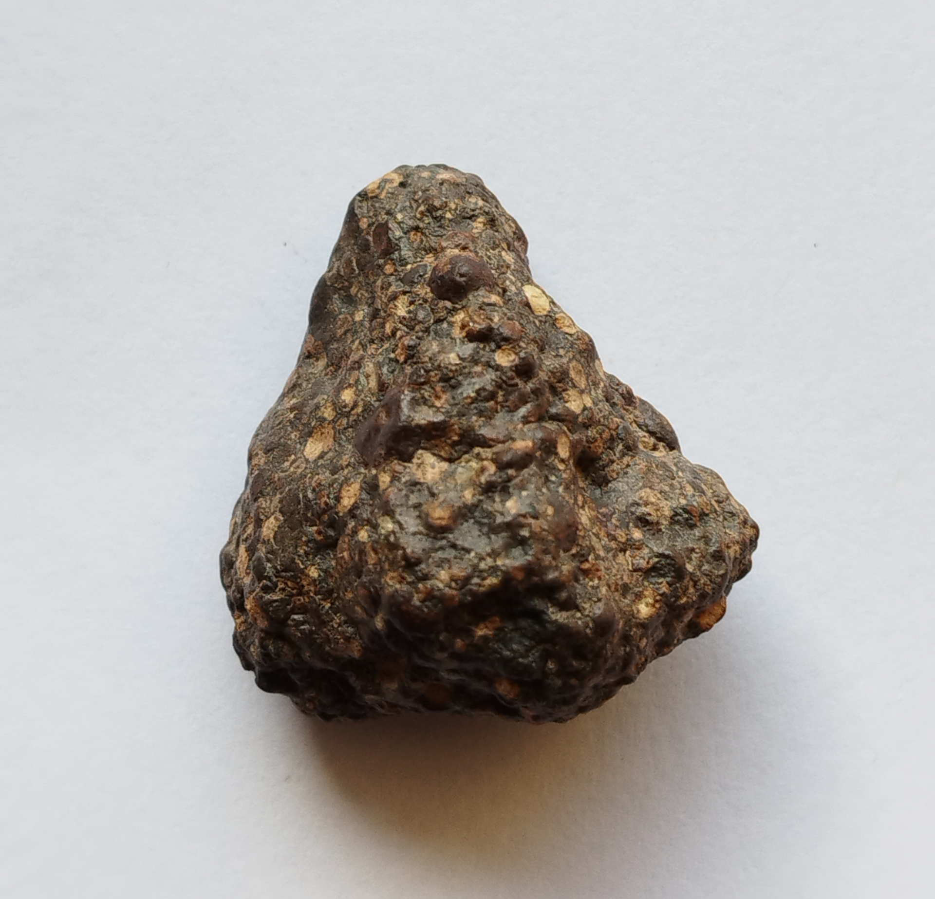 Carbonnées CR2 - NWA 15175