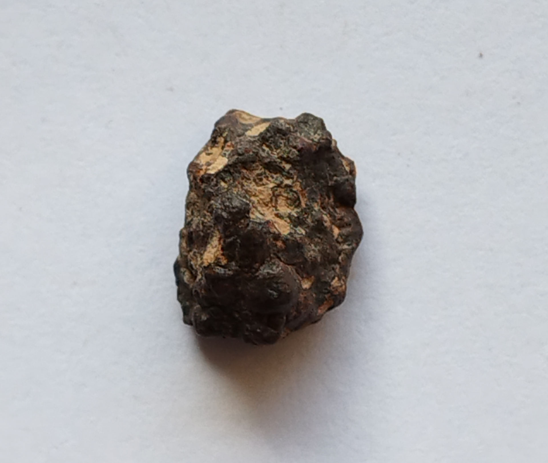 Carbonnées CR2 - NWA 15175