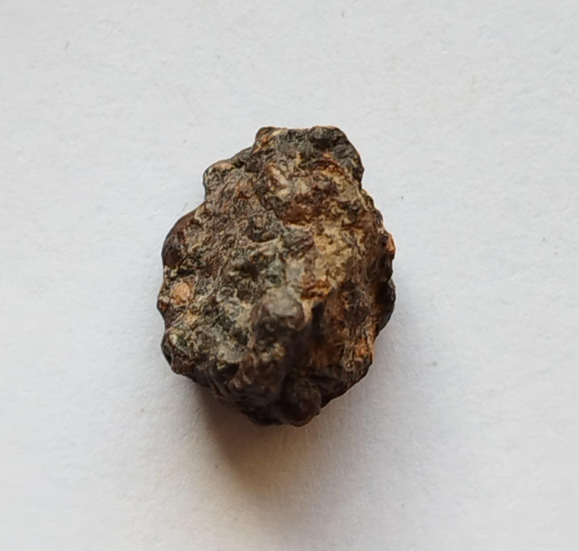 Carbonnées CR2 - NWA 15175