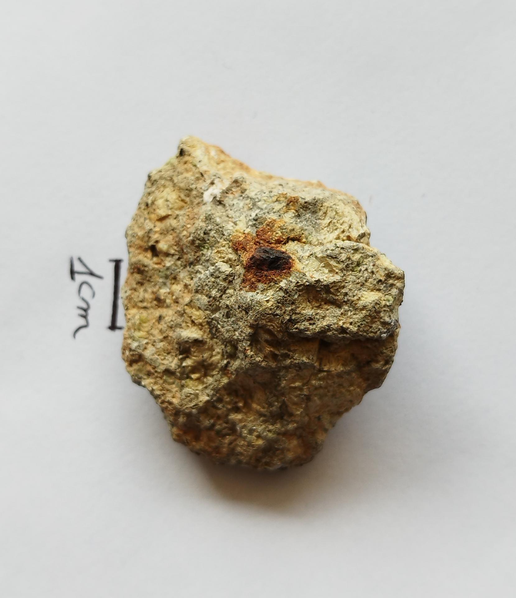 NWA 15717 pairing dunite ung achondrite