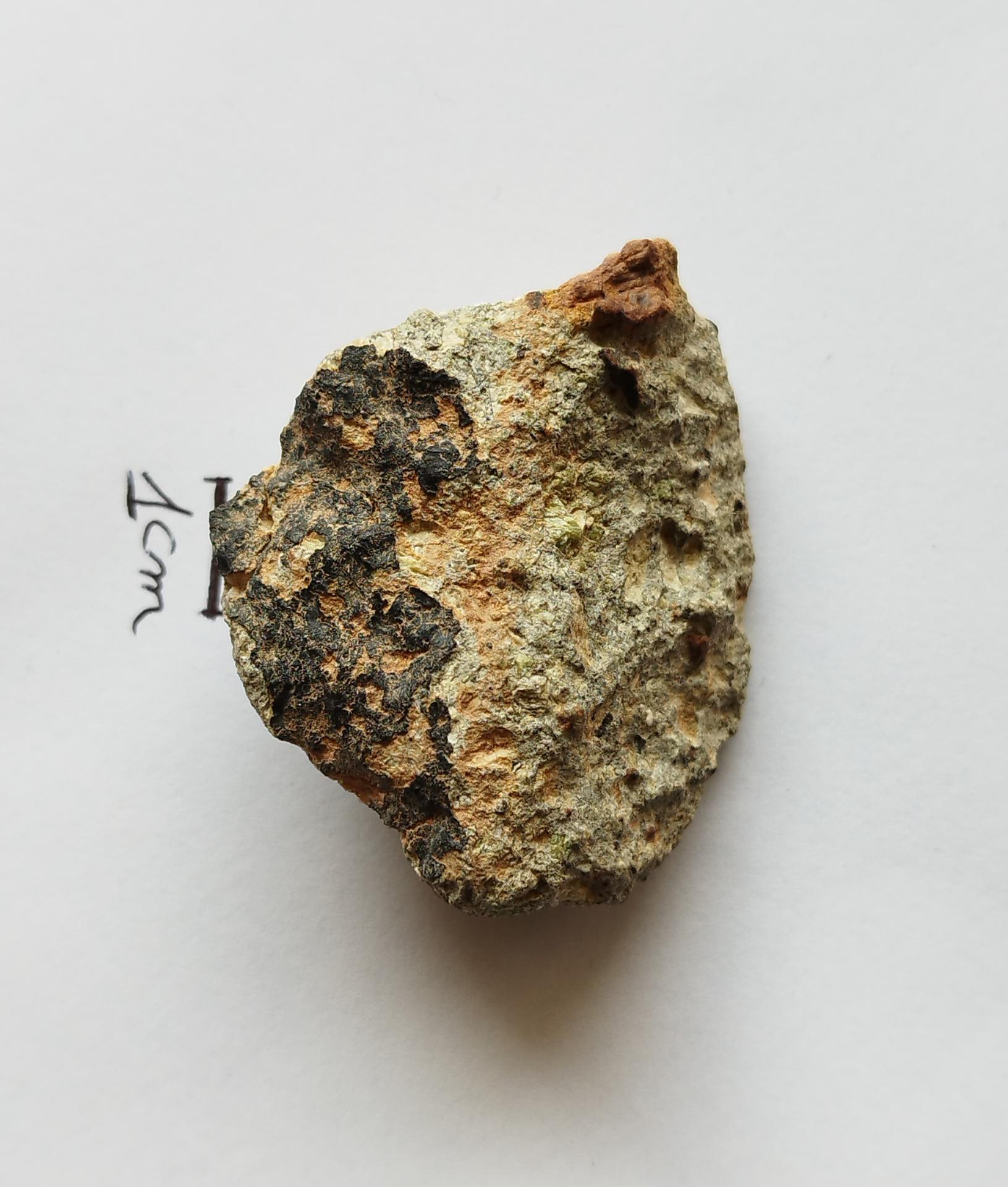NWA 15717 pairing dunite ung achondrite
