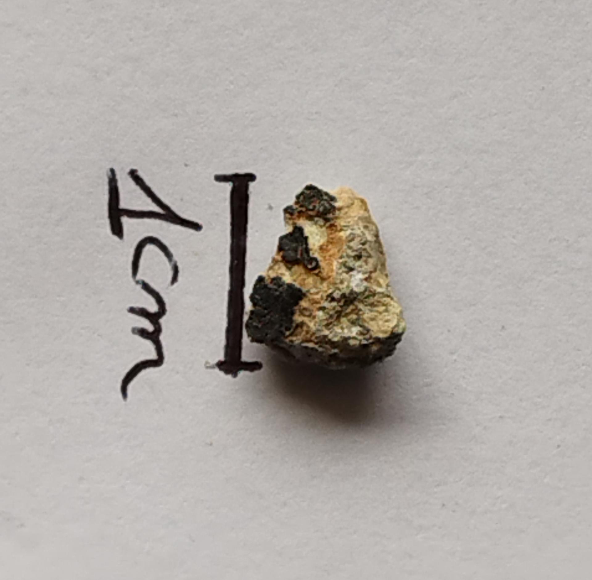 NWA 15717 pairing dunite ung achondrite