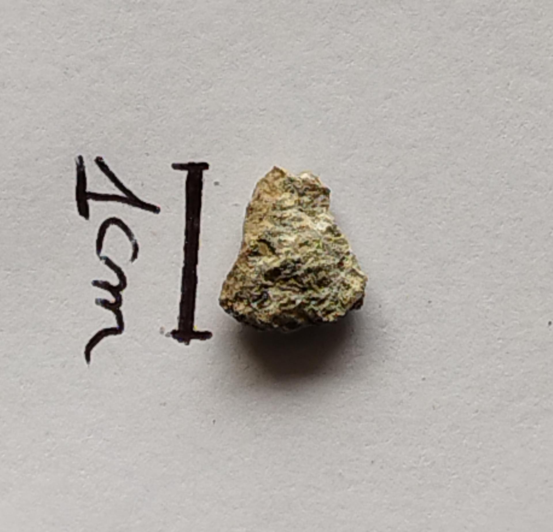 NWA 15717 pairing dunite ung achondrite