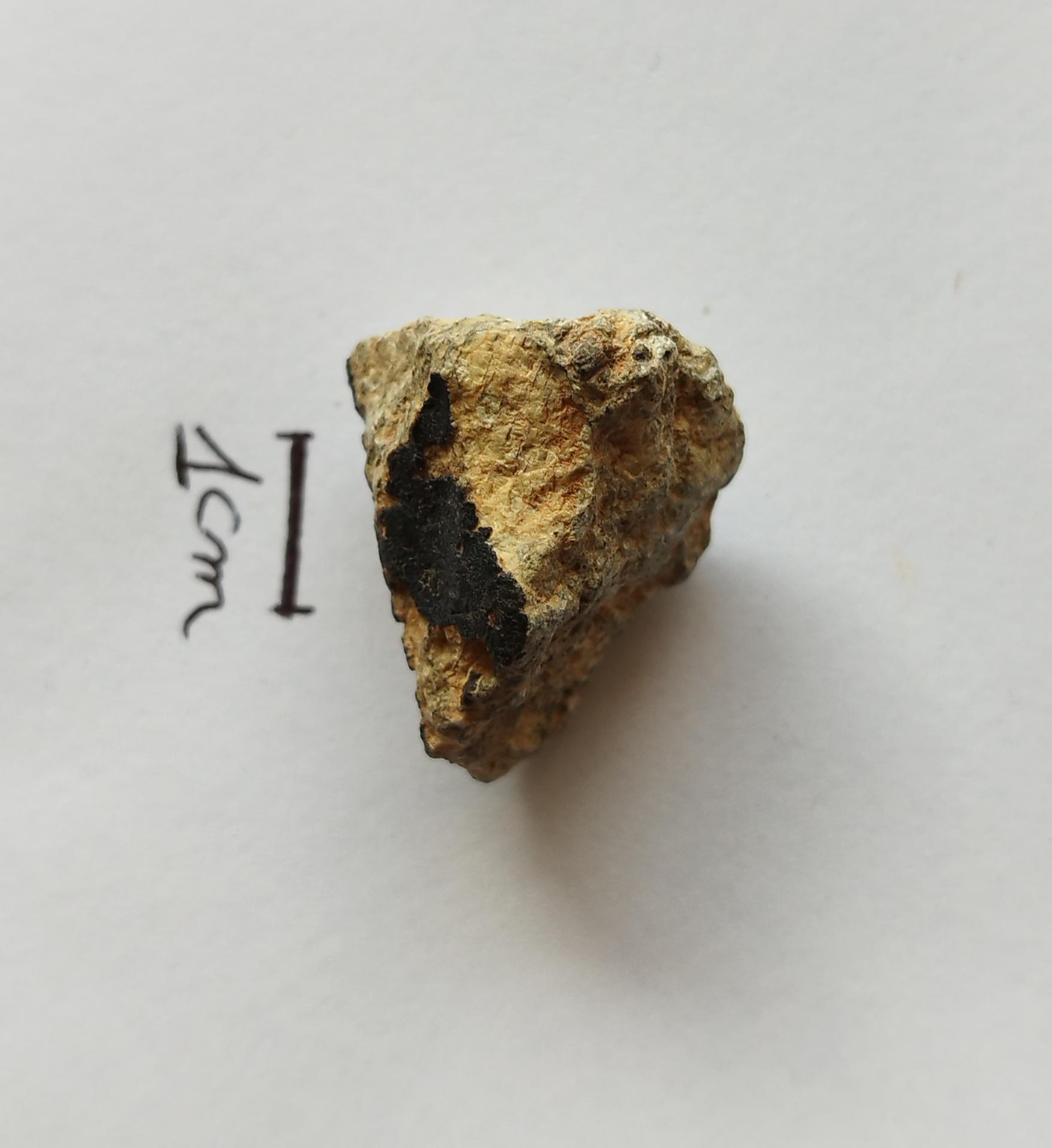 NWA 15717 pairing dunite ung achondrite