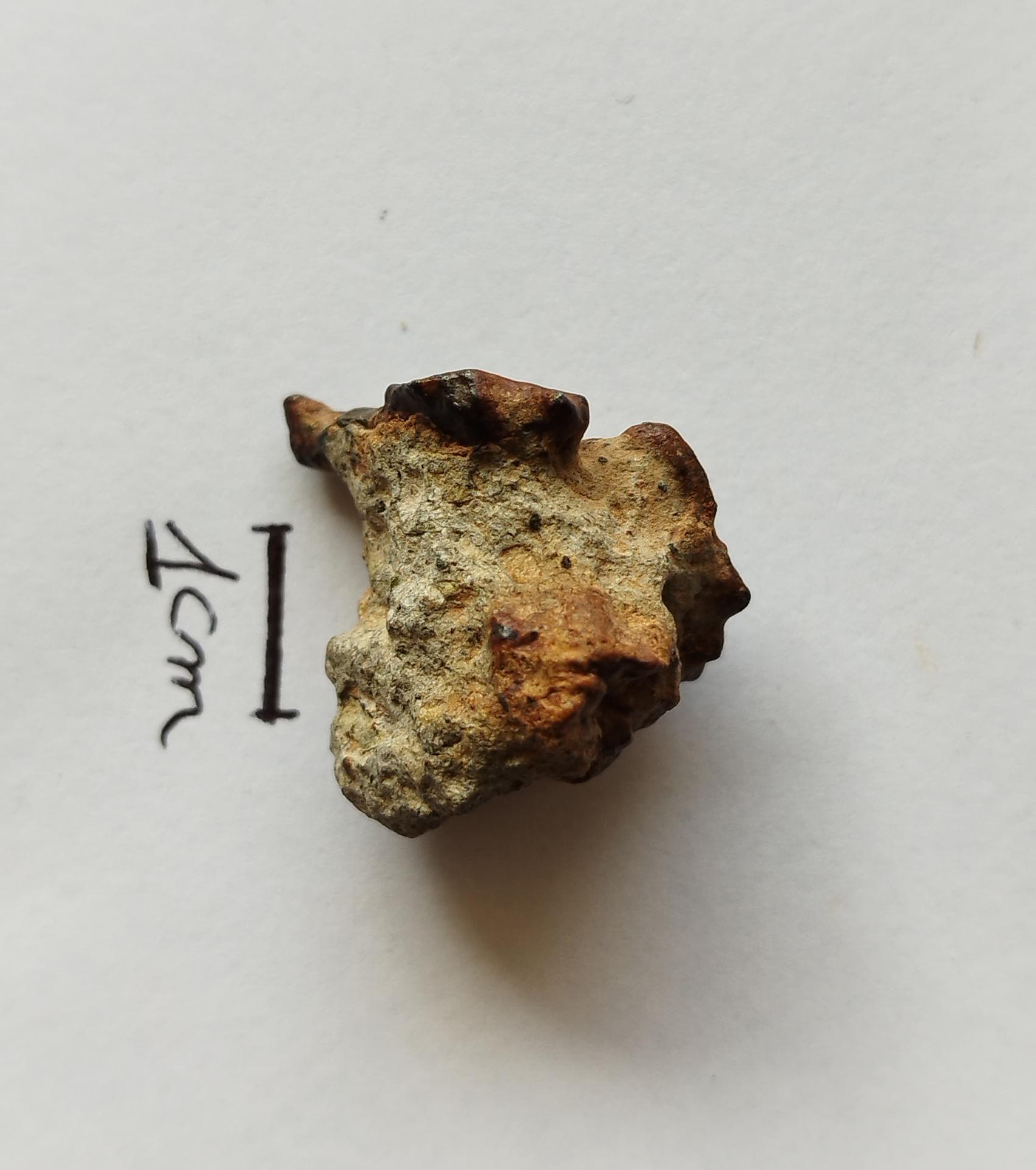 NWA 15717 pairing dunite ung achondrite