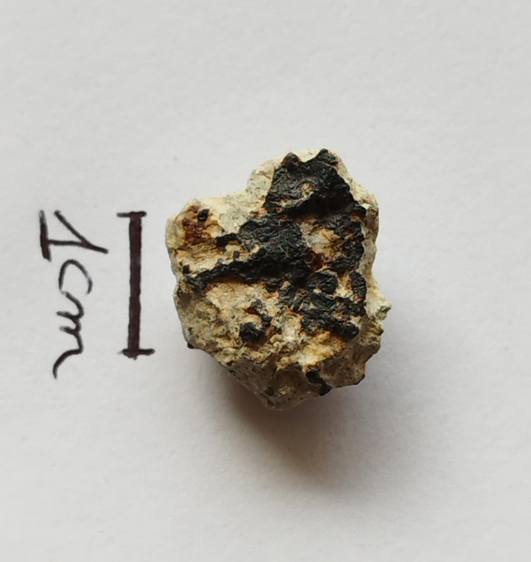 NWA 15717 pairing dunite ung achondrite