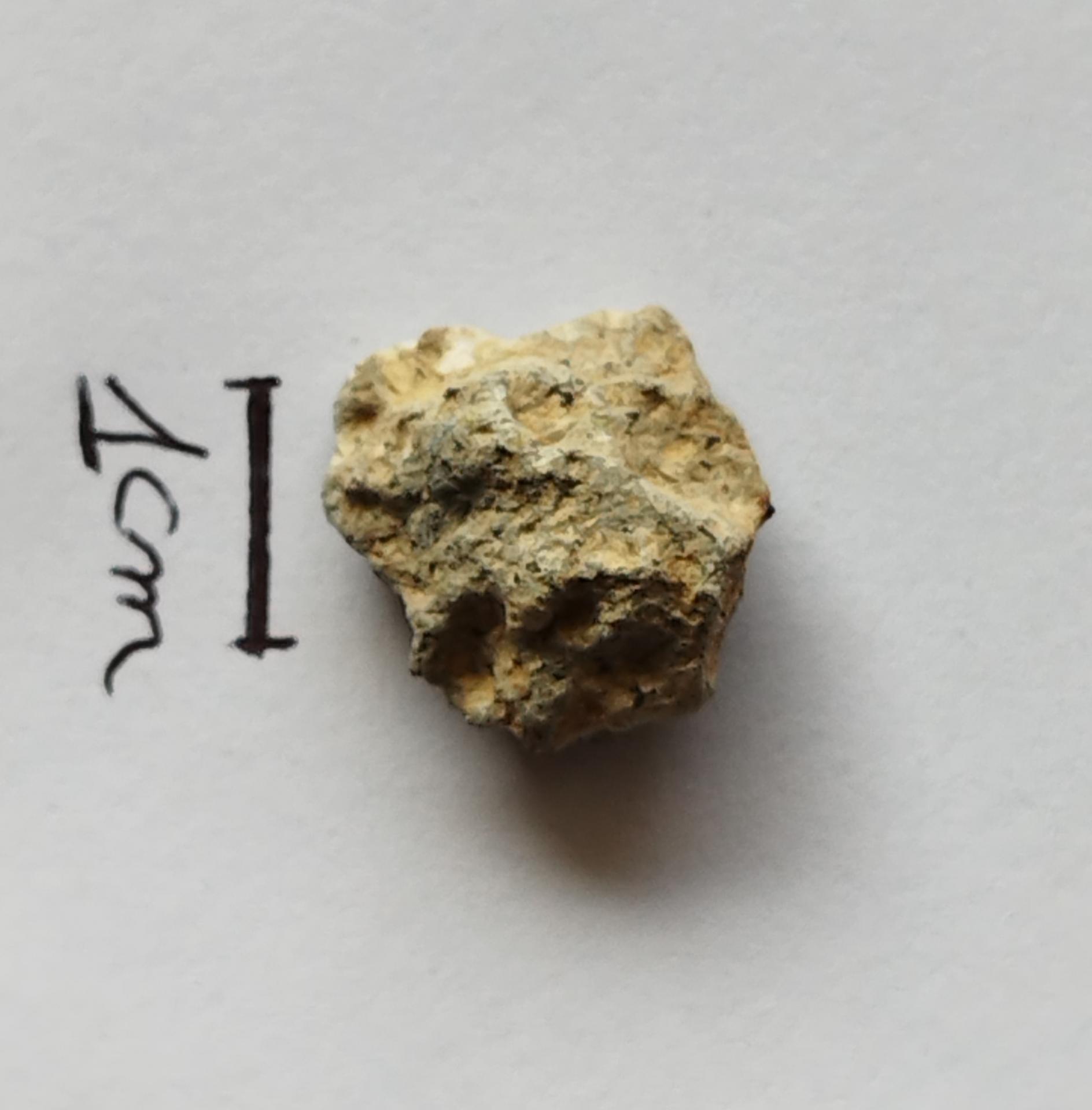 NWA 15717 pairing dunite ung achondrite