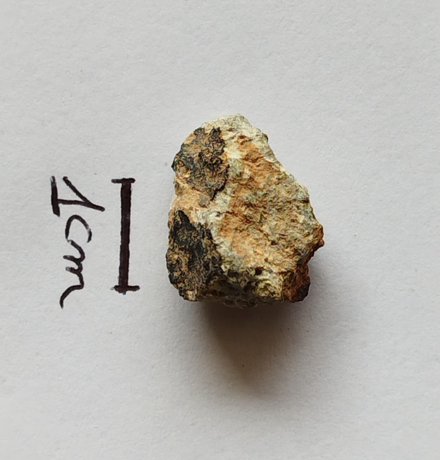NWA 15717 pairing dunite ung achondrite