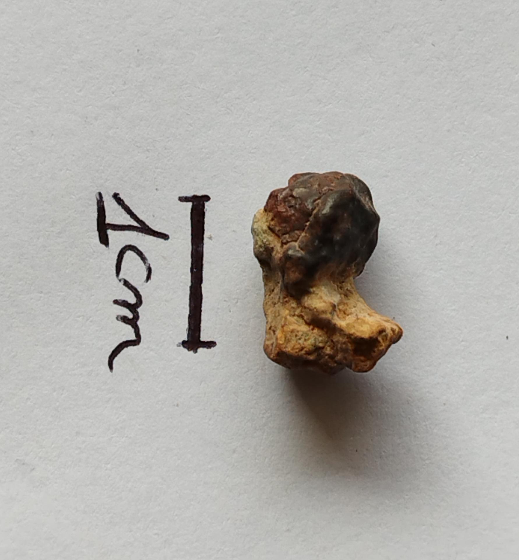 NWA 15717 pairing dunite ung achondrite