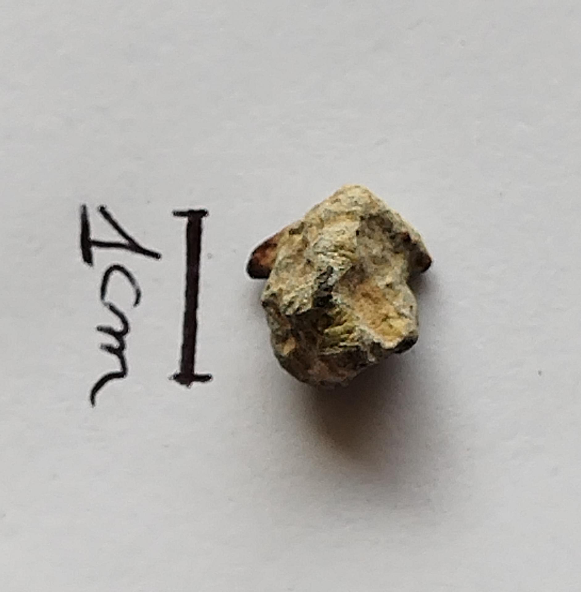 NWA 15717 pairing dunite ung achondrite