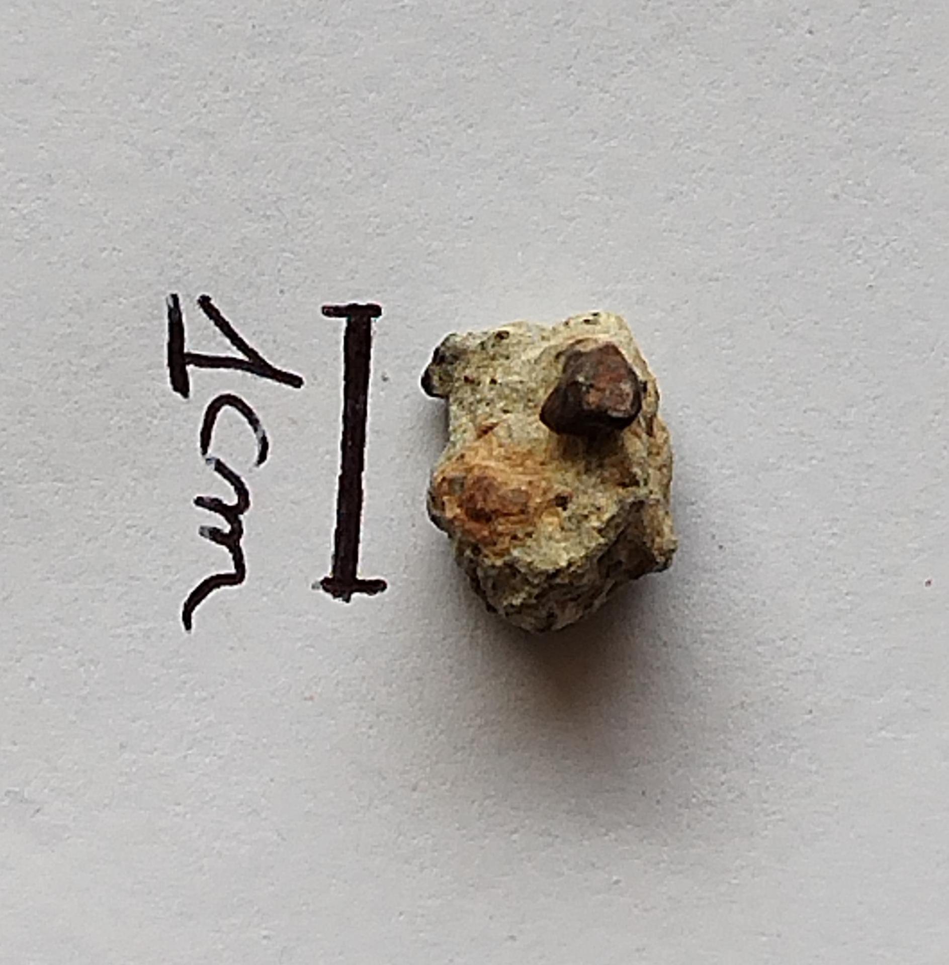 NWA 15717 pairing dunite ung achondrite