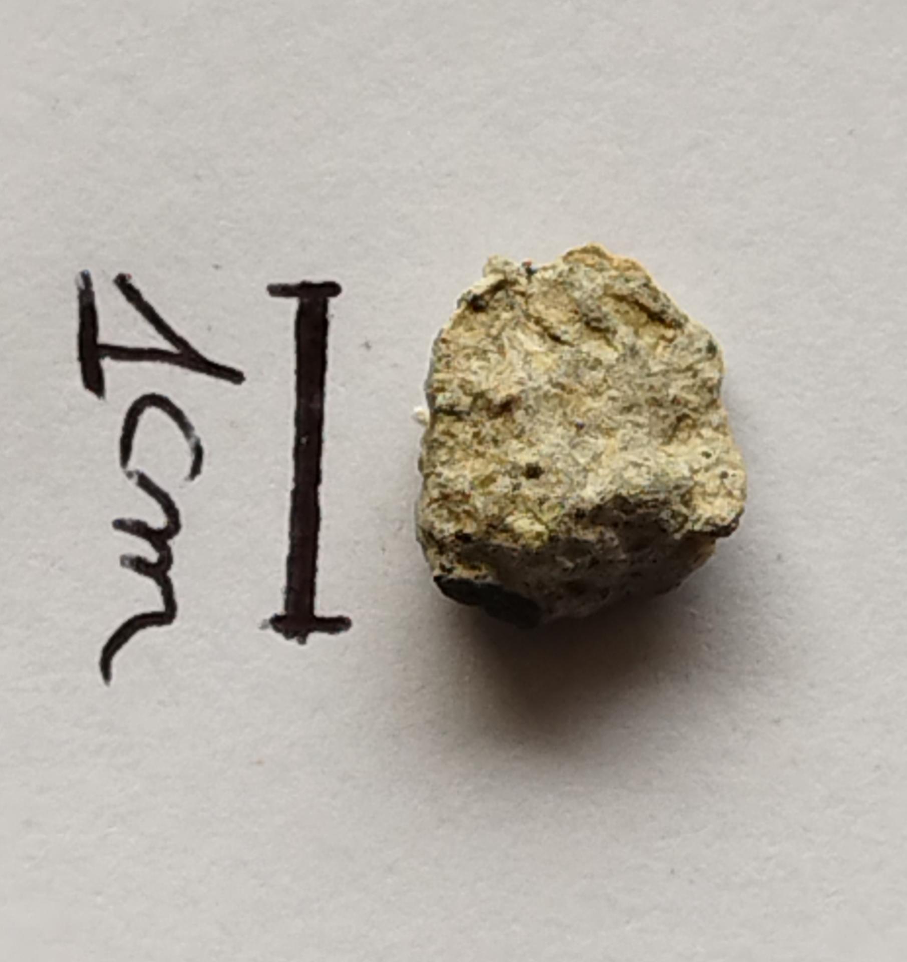 NWA 15717 pairing dunite ung achondrite