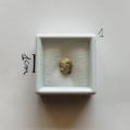 Achondrite dunite - NWA 15717