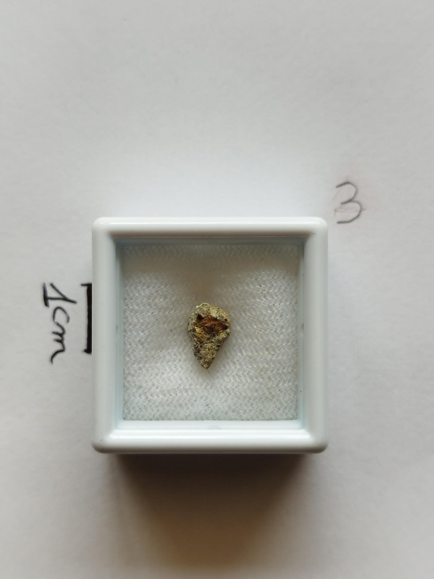 NWA 15717 pairing dunite ung achondrite