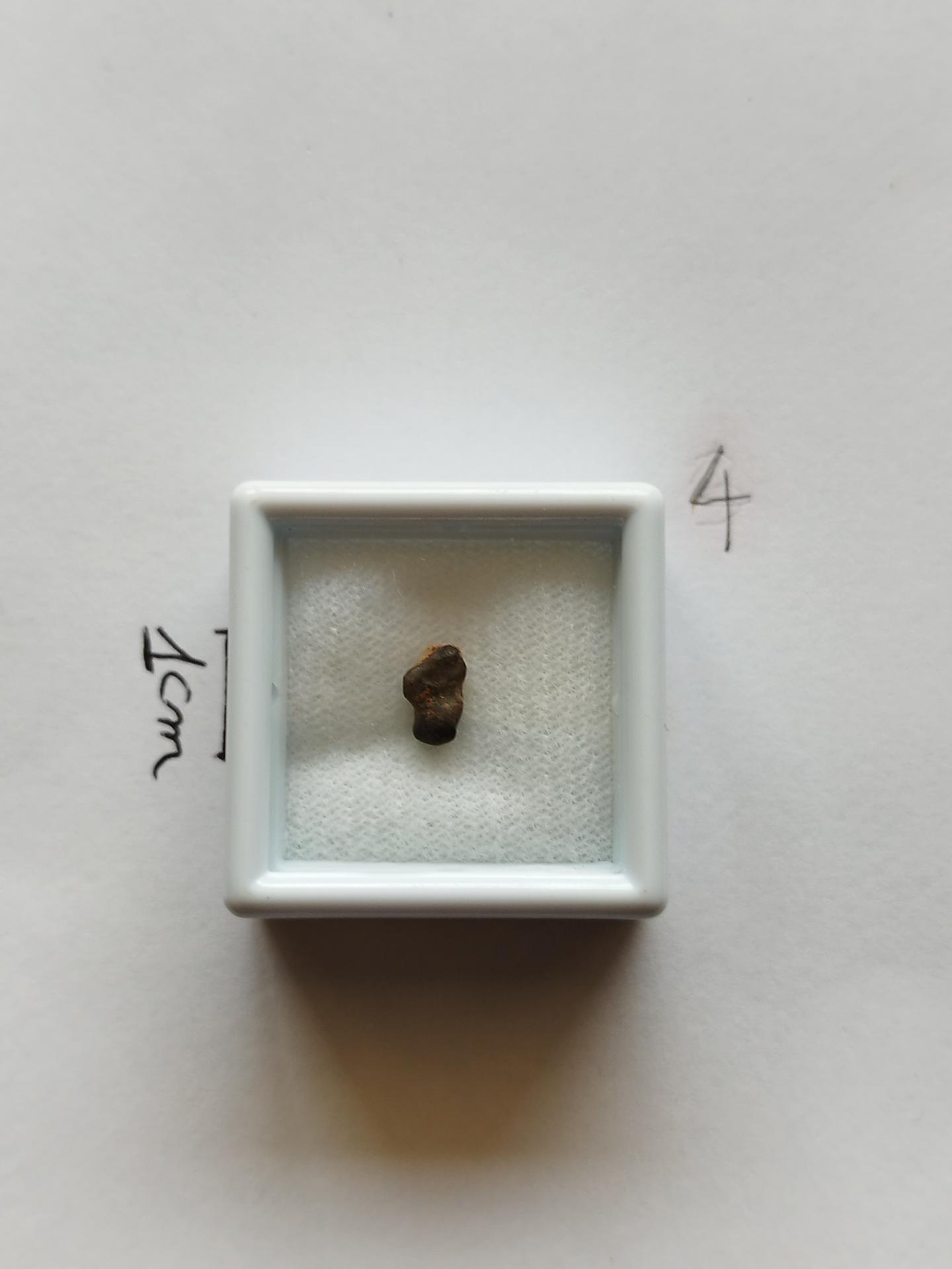 NWA 15717 pairing dunite ung achondrite