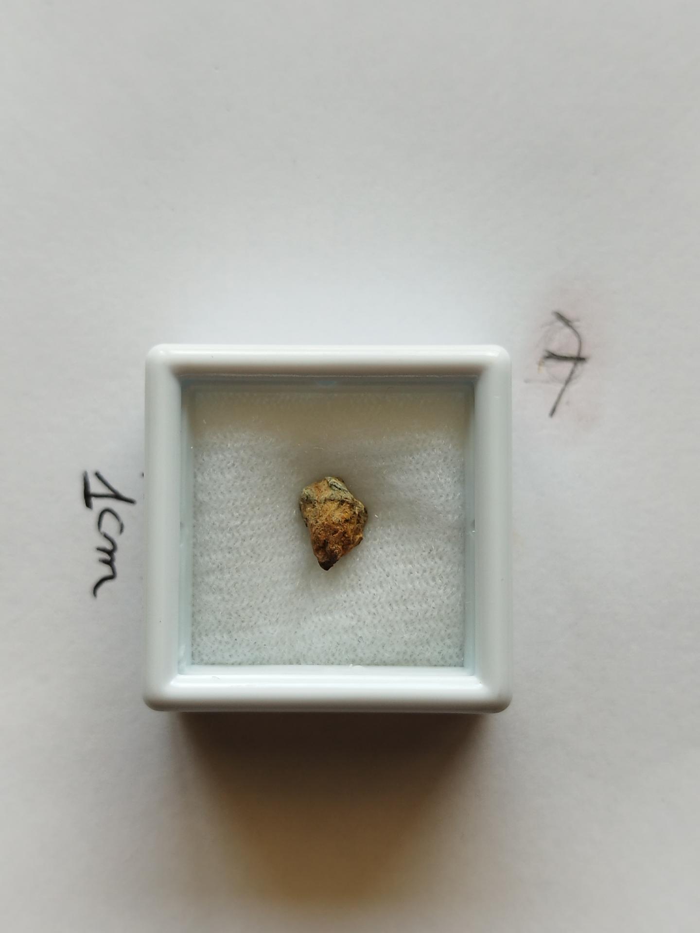 NWA 15717 pairing dunite ung achondrite