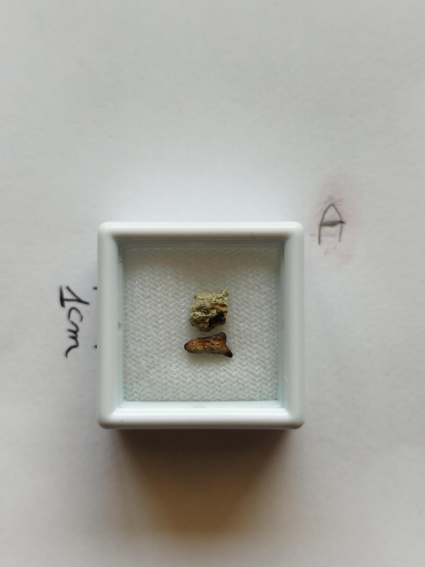 NWA 15717 pairing dunite ung achondrite