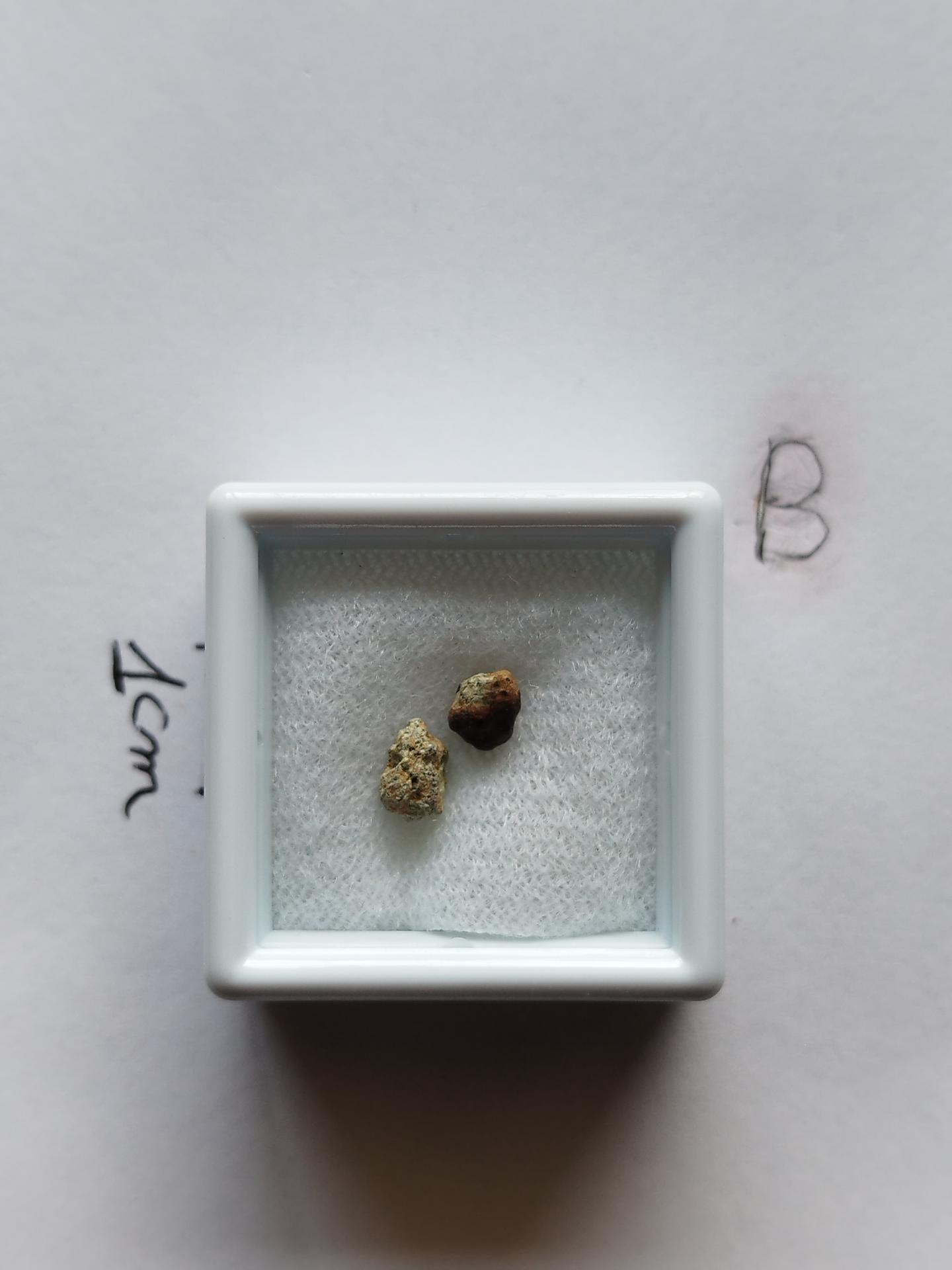 NWA 15717 pairing dunite ung achondrite