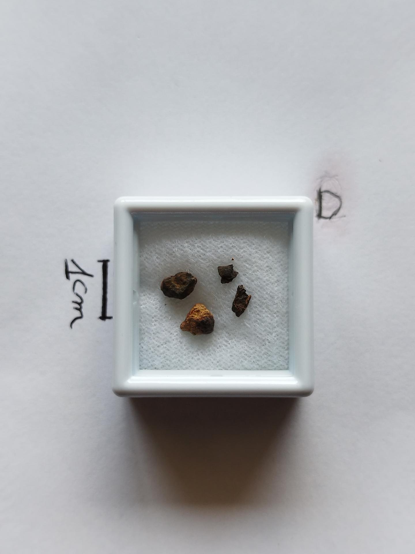 NWA 15717 pairing dunite ung achondrite