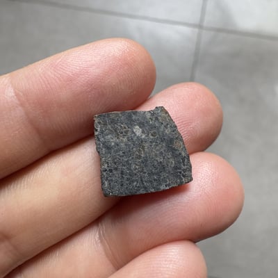 Ouargla 010 shergottite