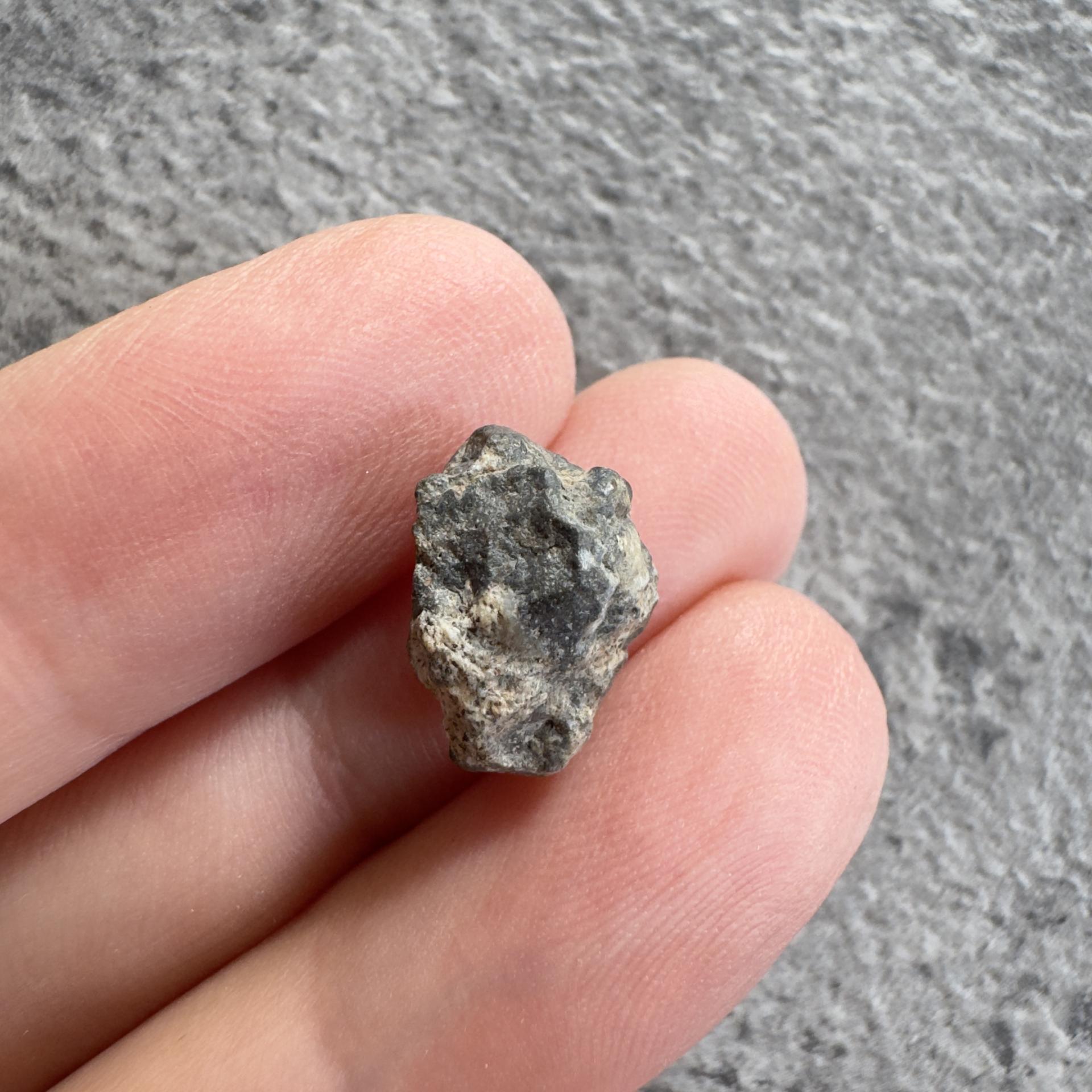 NWA 15169 lunar meteorite