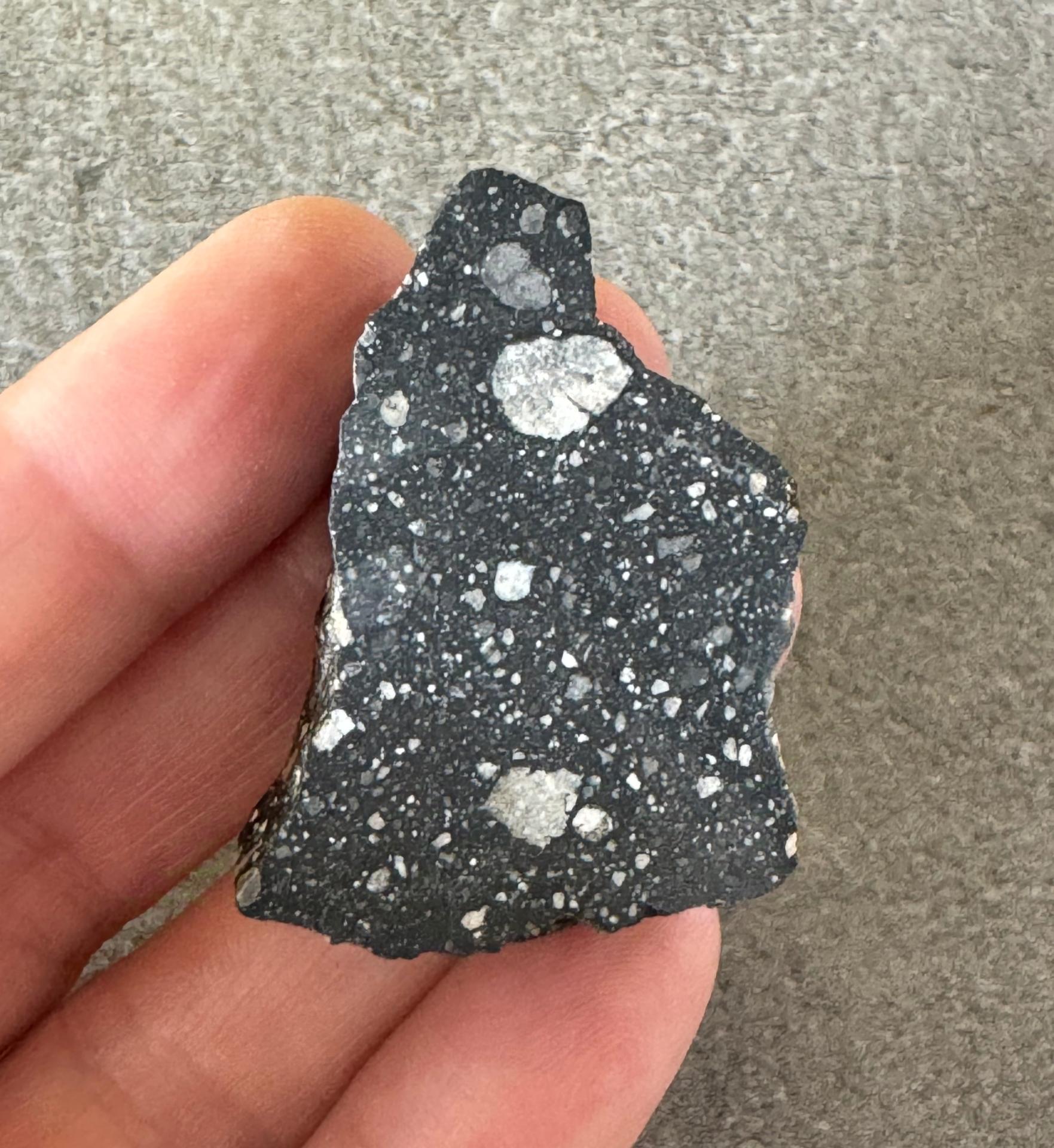 NWA 11695 lunar