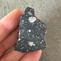 NWA 11695 lunar