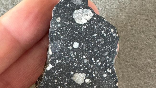 NWA 11695