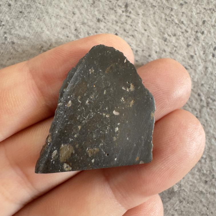 NWA 18795 météorite lunaire