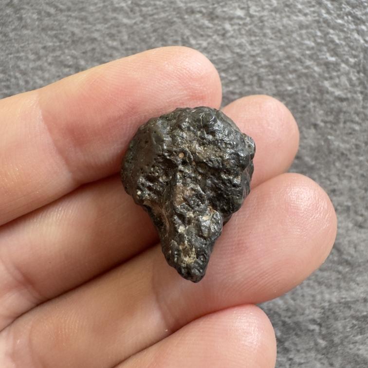NWA 18795 météorite lunaire