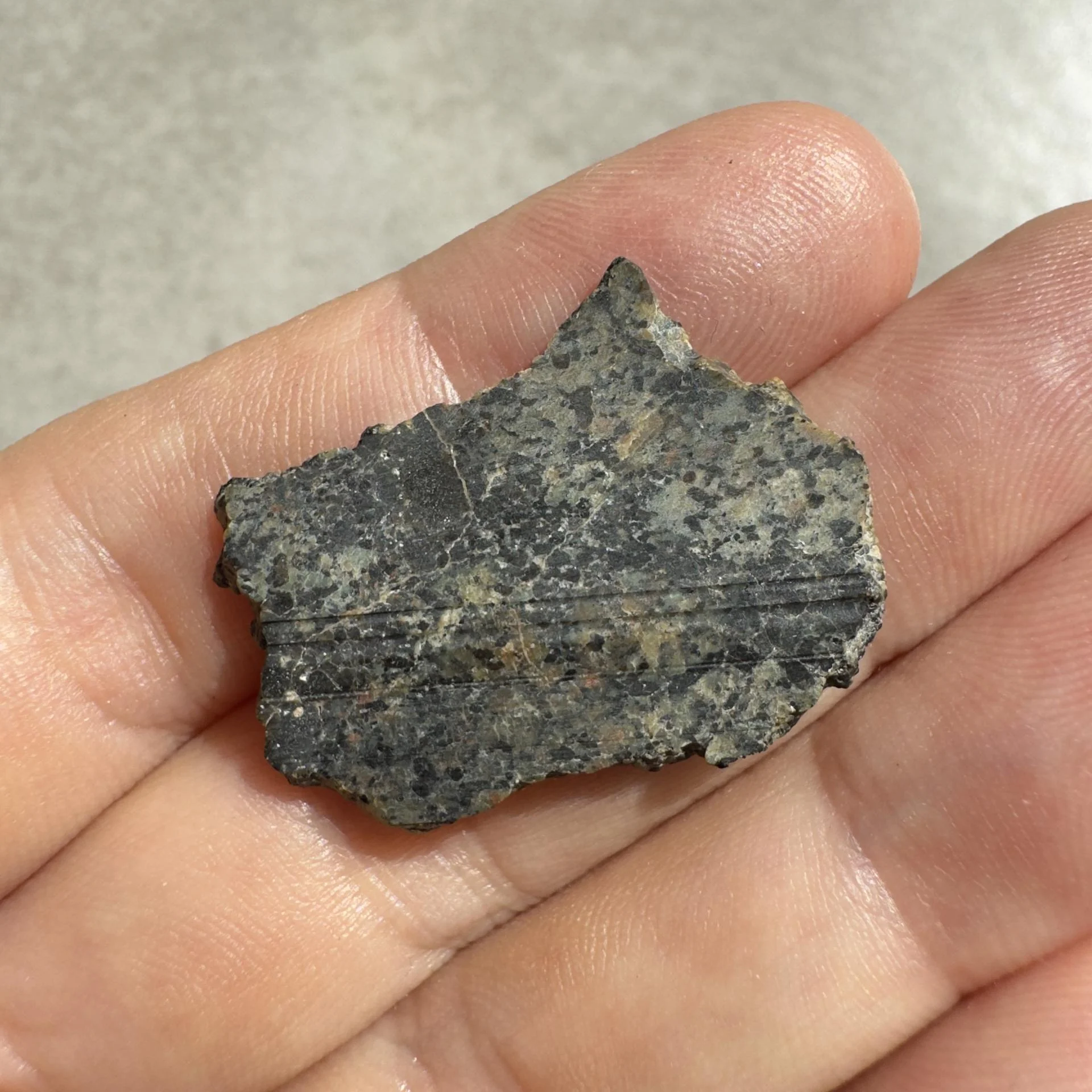 NWA 16051 shergottite