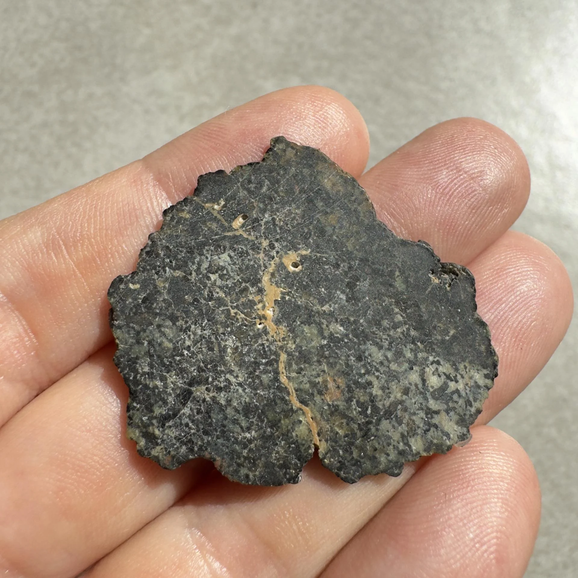 NWA 16051 shergottite