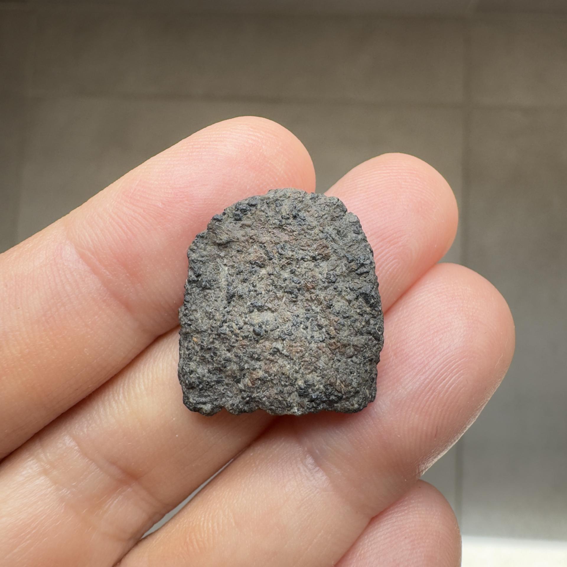Ouargla 010 shergottite