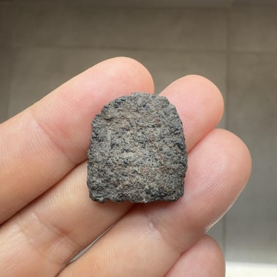 Ouargla 010 shergottite