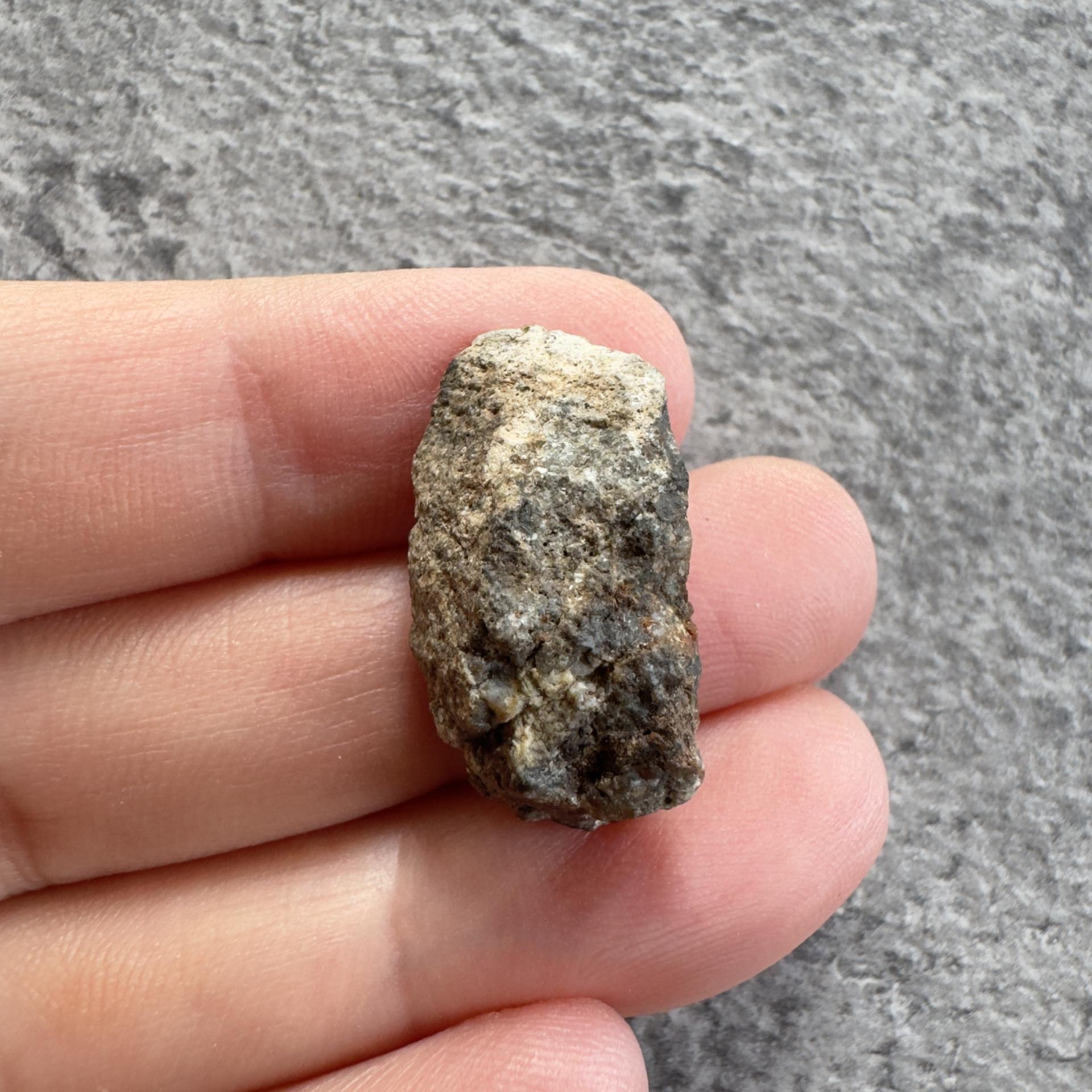 NWA 15169 lunar meteorite