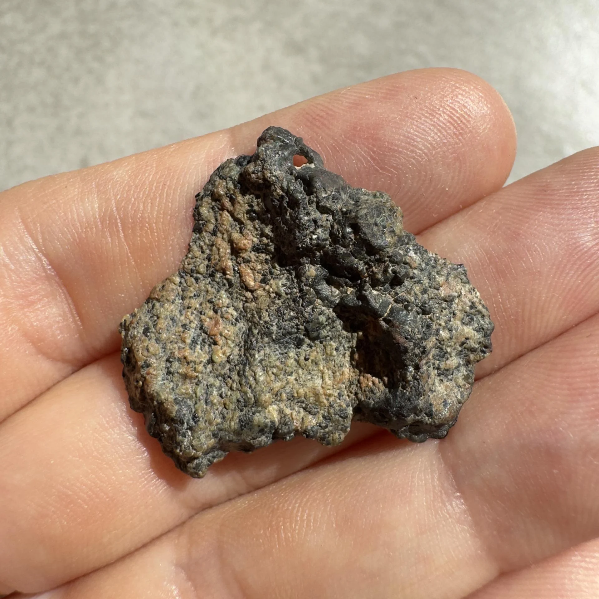 NWA 16051 shergottite