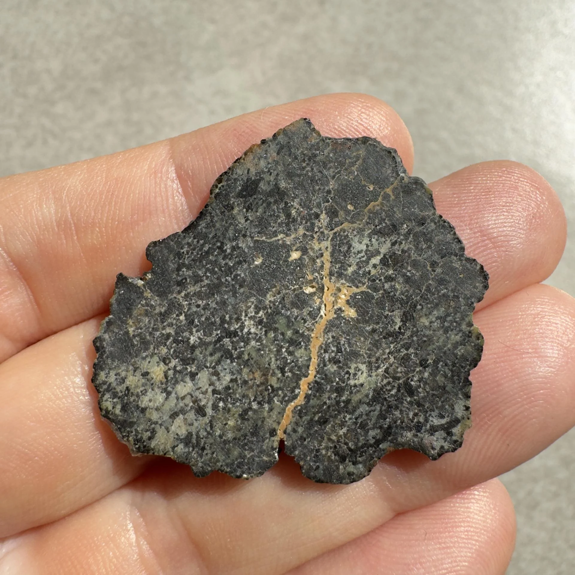 NWA 16051 shergottite