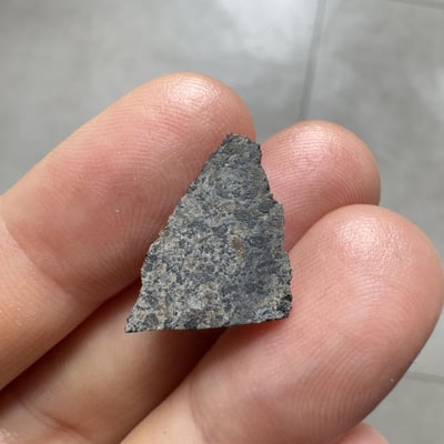 Ouargla 010 shergottite