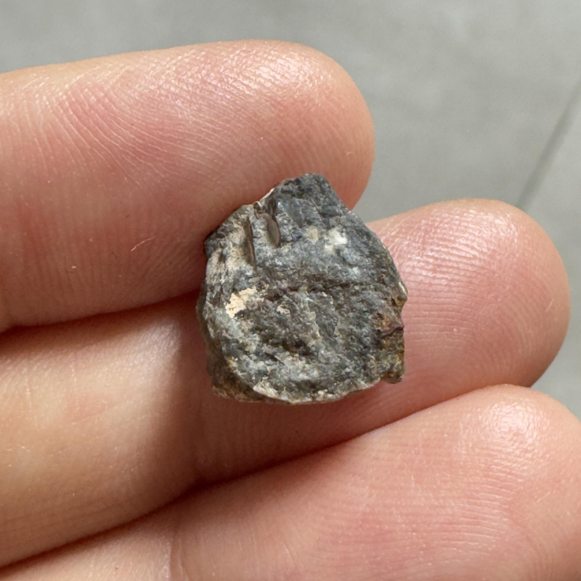 NWA 15169 météorite lunaire