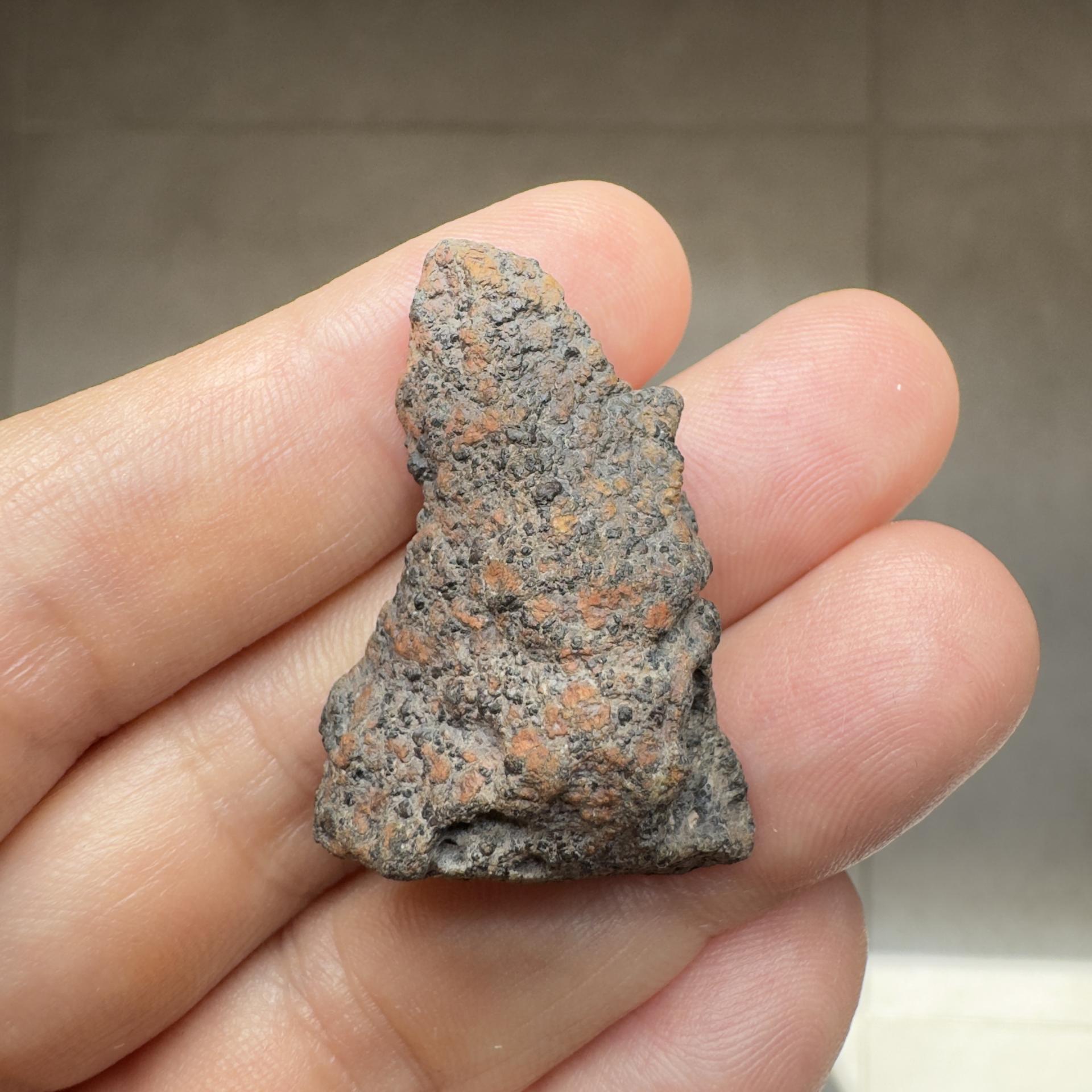 Ouargla 010 shergottite