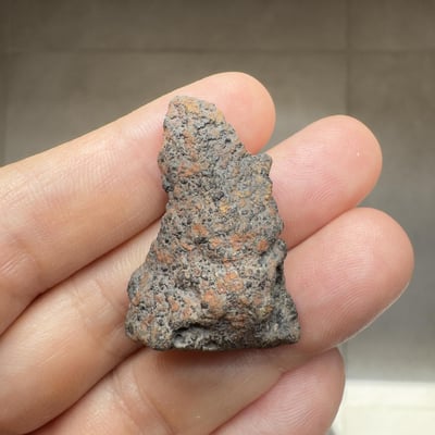 Ouargla 010 shergottite