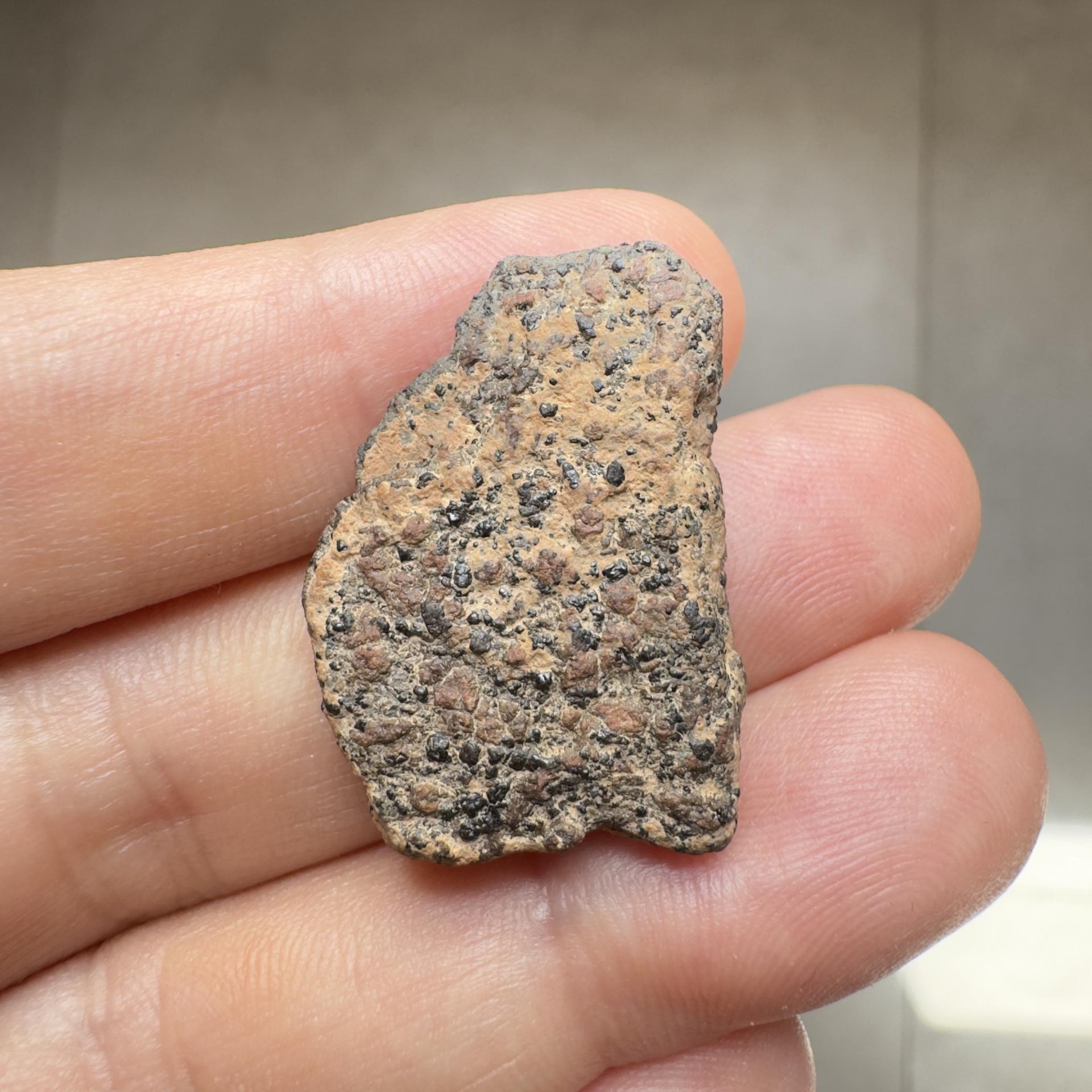 Ouargla 010 shergottite
