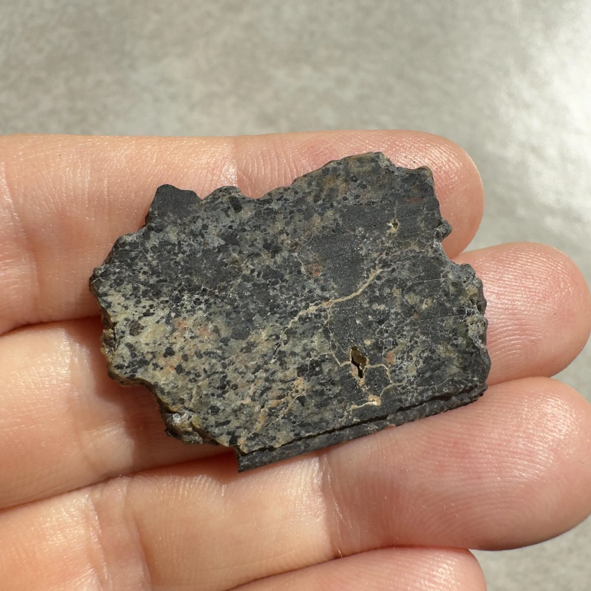 NWA 16051 shergottite