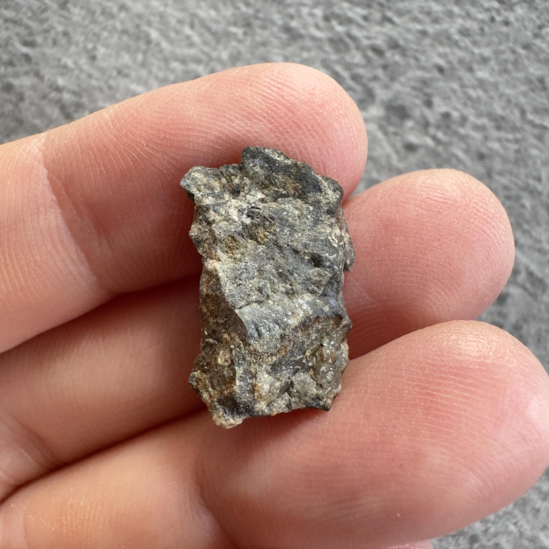 NWA 15169 lunar meteorite