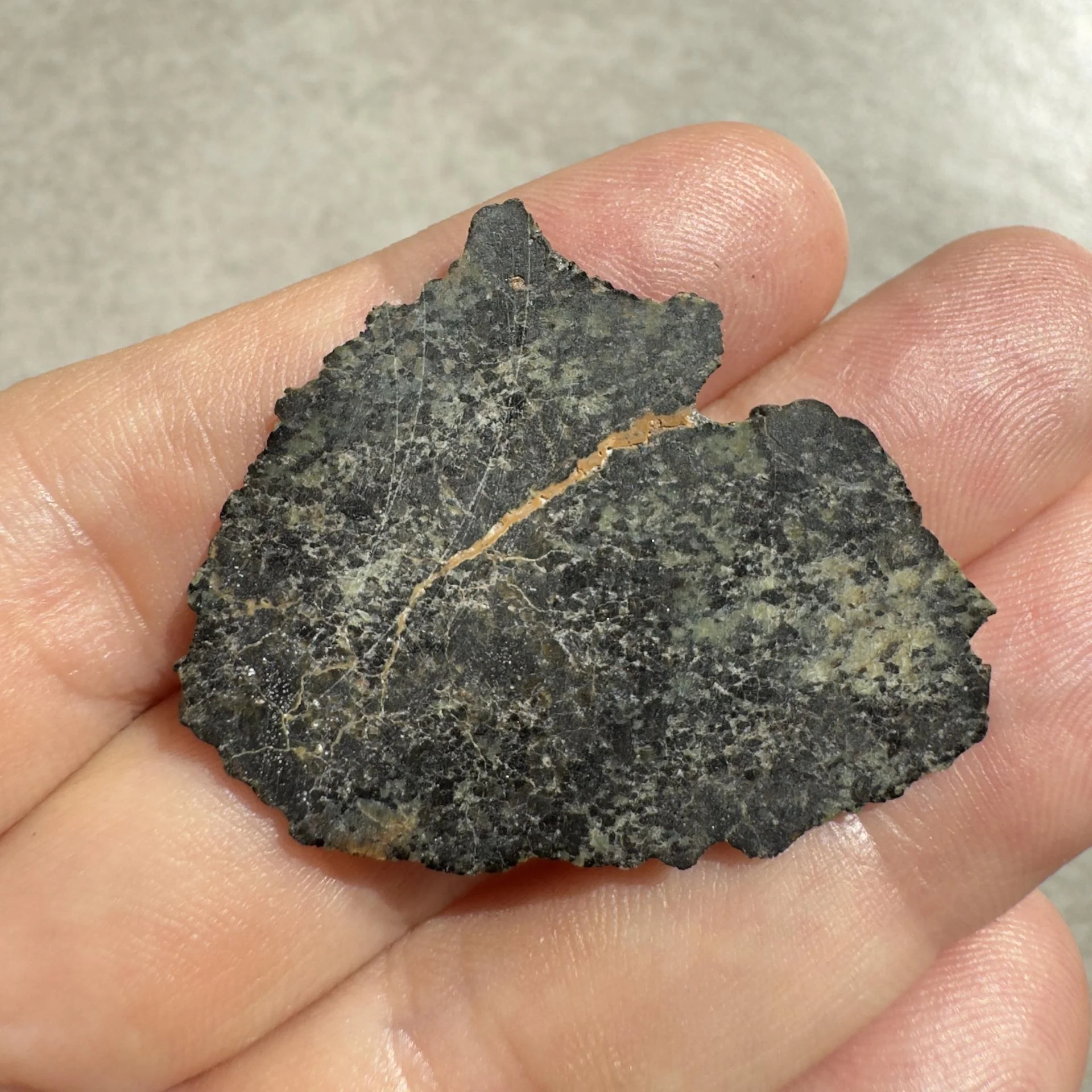 NWA 16051 shergottite
