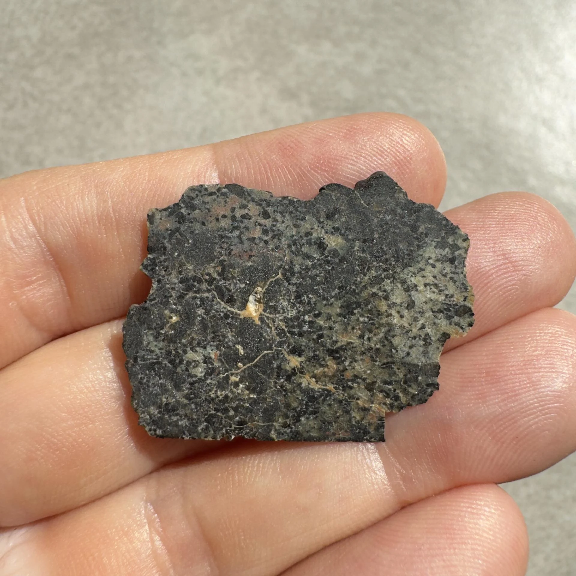 NWA 16051 shergottite