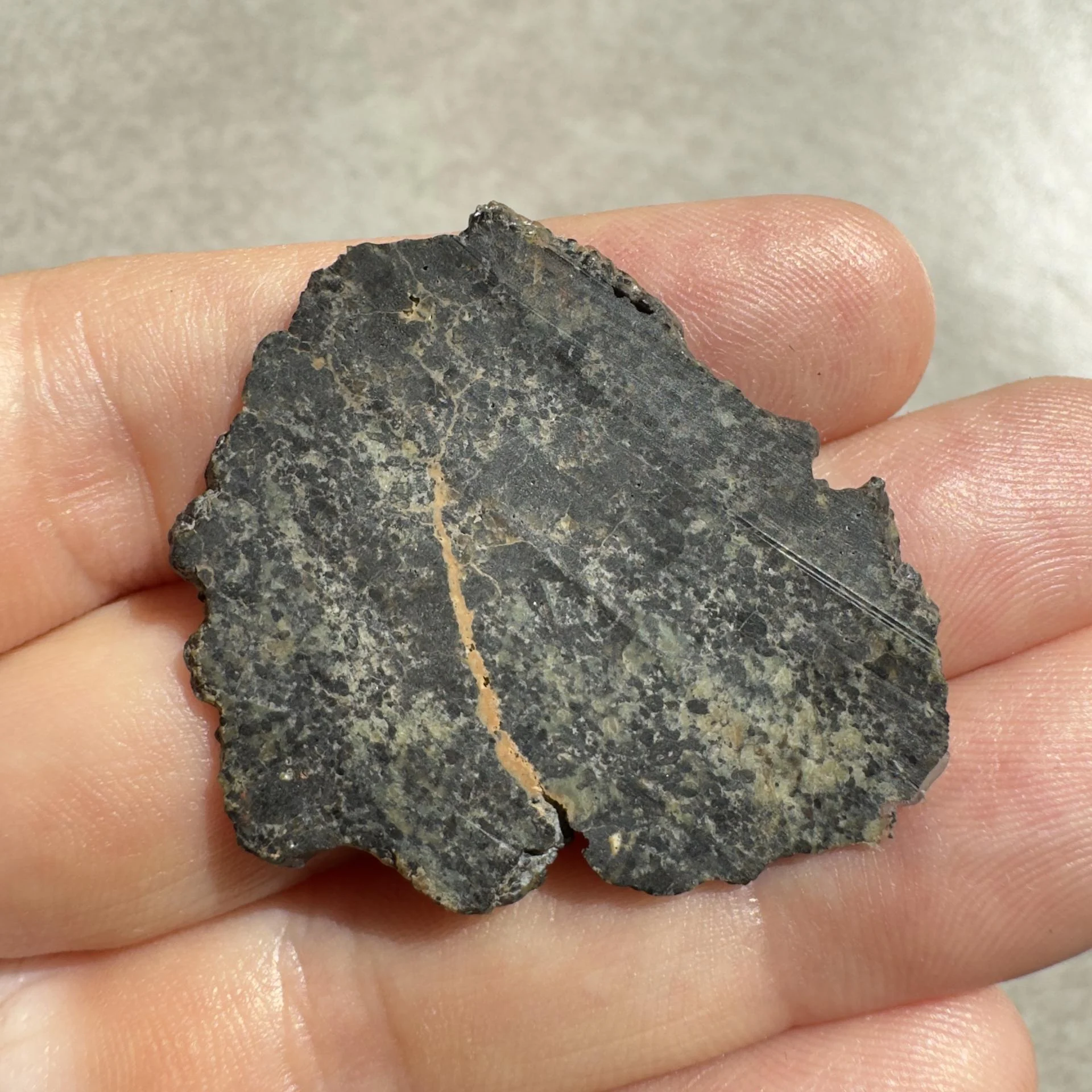 NWA 16051 shergottite