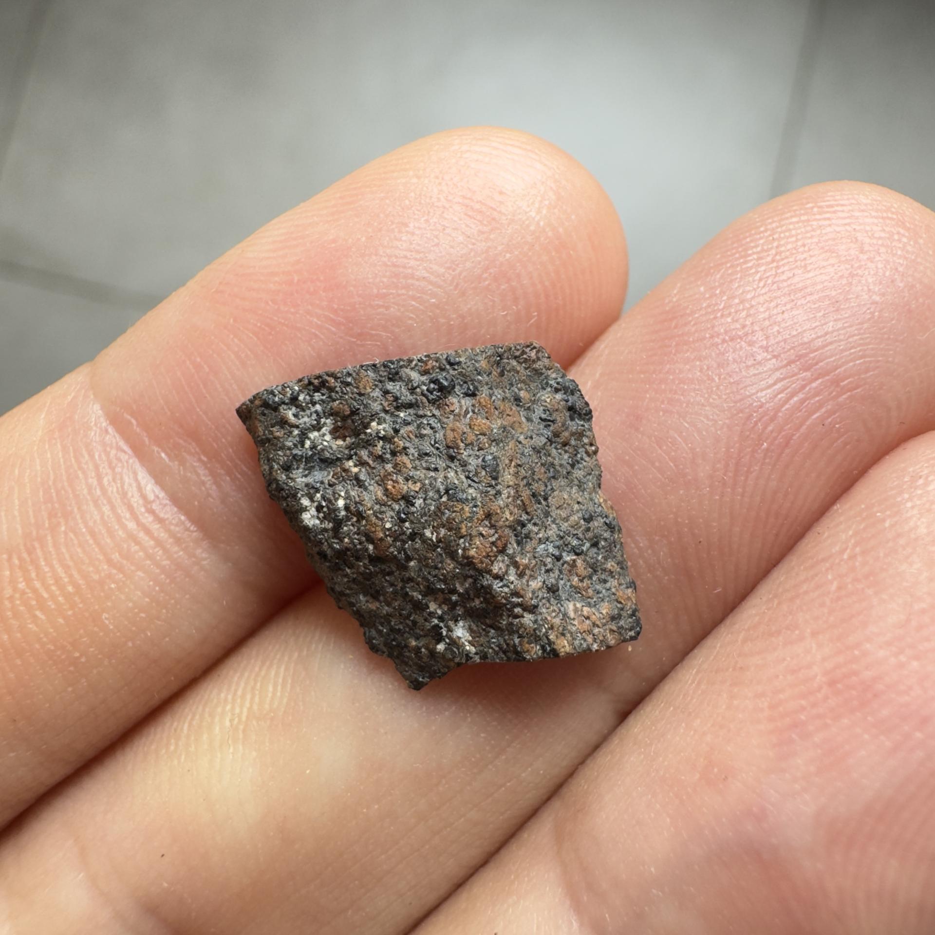 Ouargla 010 shergottite