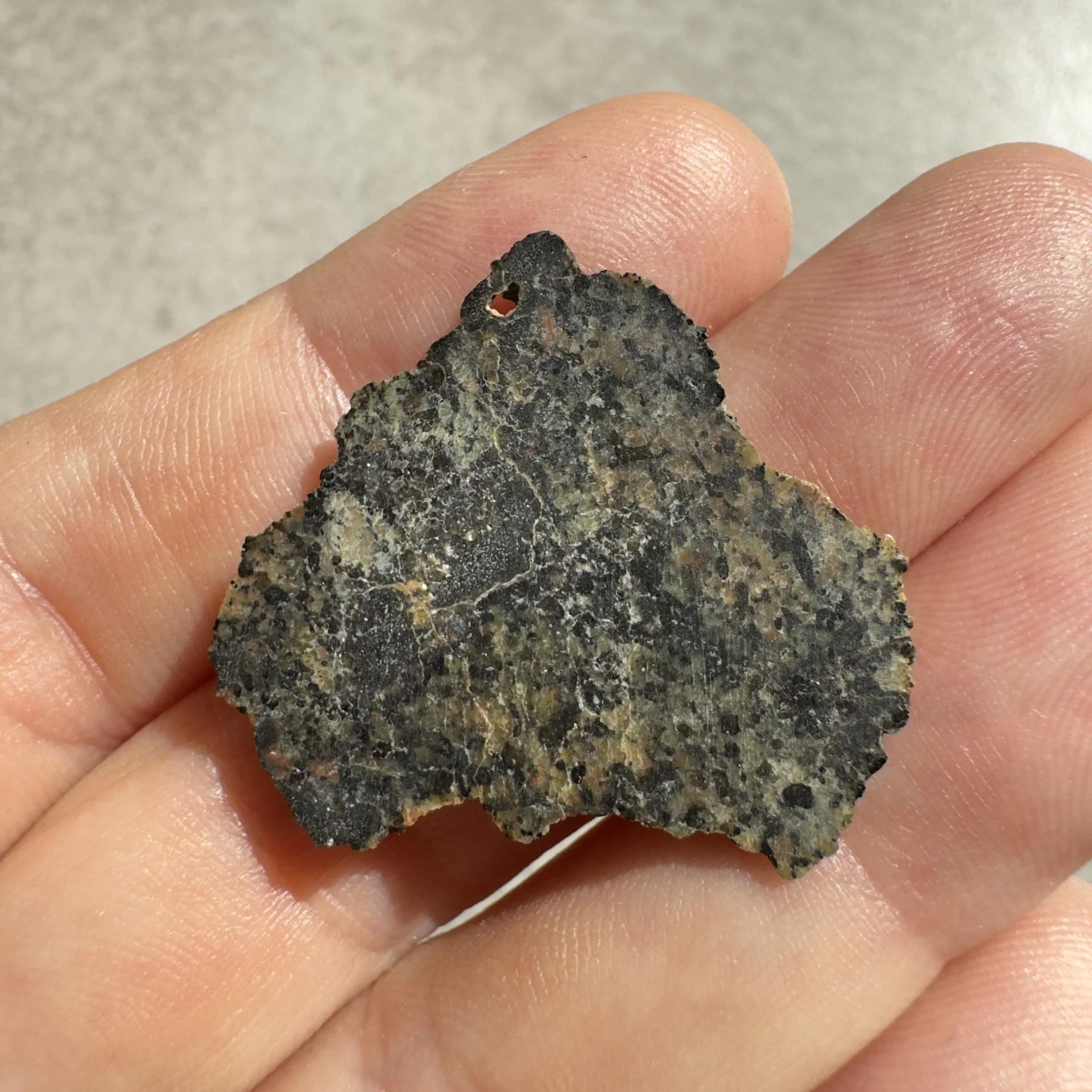 NWA 16051 shergottite